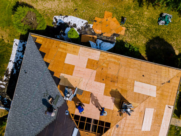 Best Roof Gutter Cleaning  in Independent Hill, VA