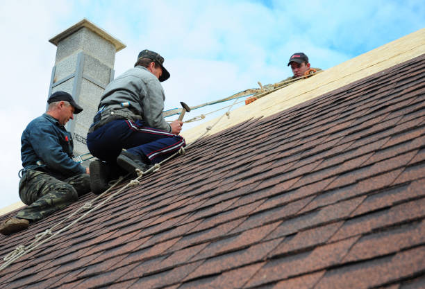 Best Roof Restoration Services  in Independent Hill, VA